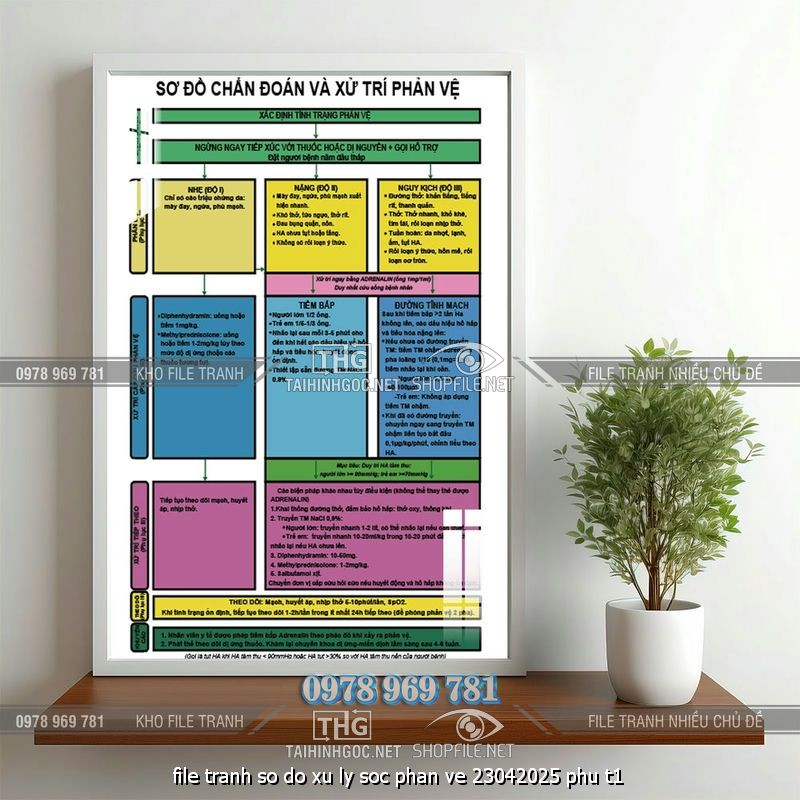 file tranh so do xu ly soc phan ve 23042025 phu t1