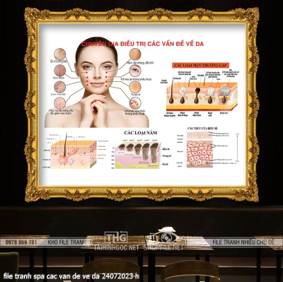 file tranh spa cac van de ve da 24072023 h