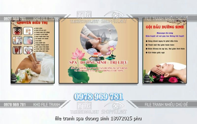 file tranh spa duong sinh 18072025 phu
