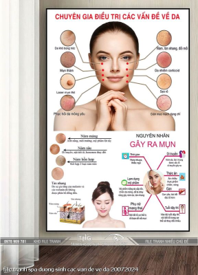 file tranh spa duong sinh cac van de ve da 20072024