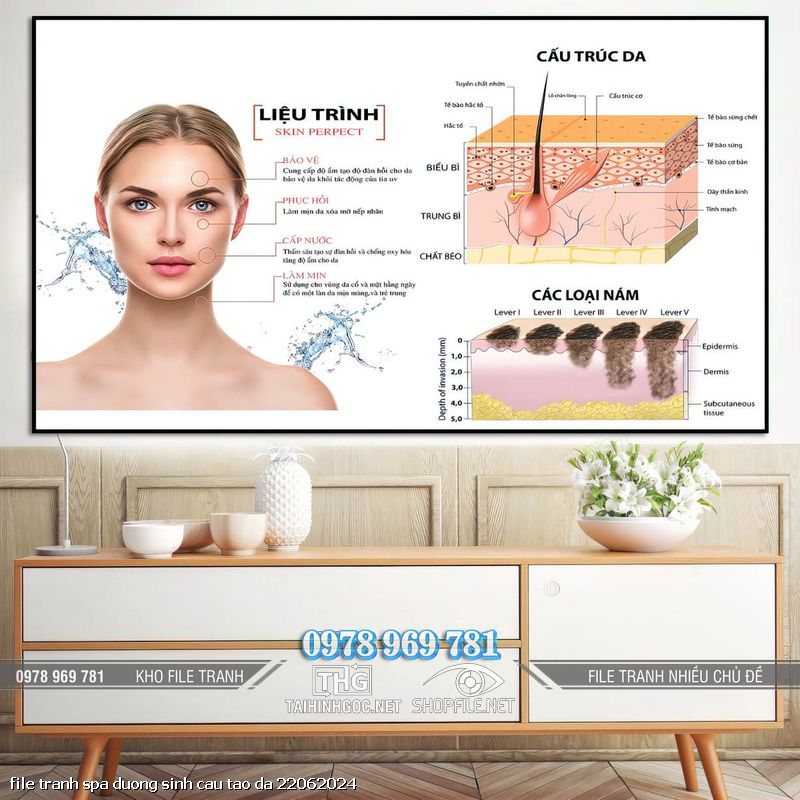 file tranh spa duong sinh cau tao da 22062024