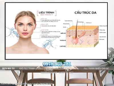 file tranh spa duong sinh cau tao da 260720224