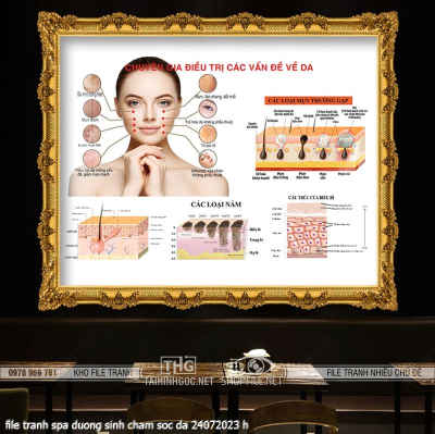 file tranh spa duong sinh cham soc da 24072023 h
