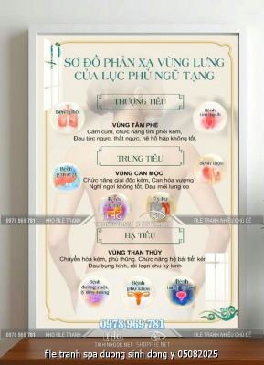 file tranh spa duong sinh dong y 05082025