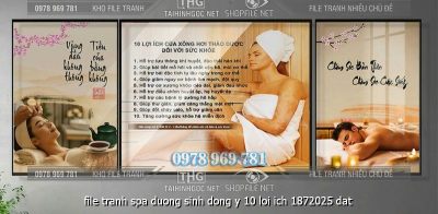 file tranh spa duong sinh dong y 10 loi ich 1872025 dat