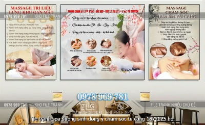 file tranh spa duong sinh dong y cham soc tu cung 1872025 ho