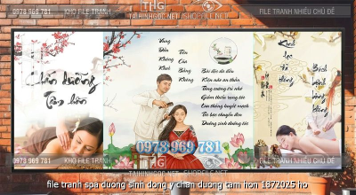 file tranh spa duong sinh dong y chan duong tam hon 1872025 ho