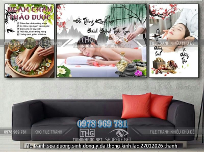 file tranh spa duong sinh dong y da thong kinh lac 27012026 thanh