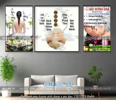 file tranh spa duong sinh dong y goi dau 17072025 thanh