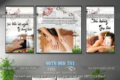 file tranh spa duong sinh dong y thu gian co vai gay 18072025 thanh