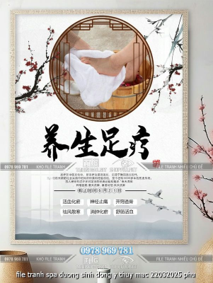 file tranh spa duong sinh dong y thuy mac 22032025 phu