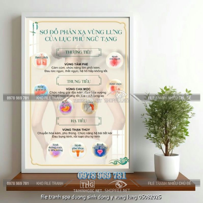 file tranh spa duong sinh dong y vung lung 05082025