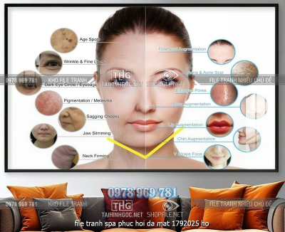 file tranh spa phuc hoi da mat 1792025 ho