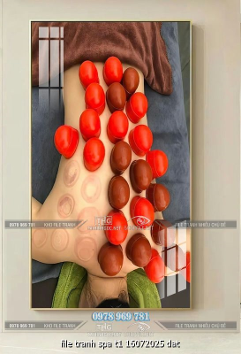 file tranh spa t1 16072025 dat