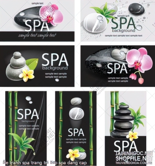 file tranh spa trang tri tiep spa dang cap