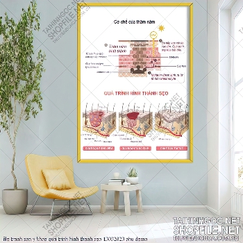 file tranh spa y khoa qua trinh hinh thanh seo 13032023 phu