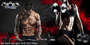 file tranh tap gym 24 8 2022 thien