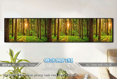 file tranh thien nhien phong canh rung cay 25102024