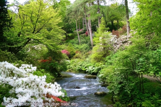 file tranh thien nhien suoi thac nuoc dep