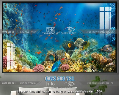 file tranh thuy sinh ca san ho trang tri be ca decal dan kinh 1556