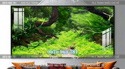 file tranh thuy sinh canh reu ho ca canh decal dan kinh 6d 36