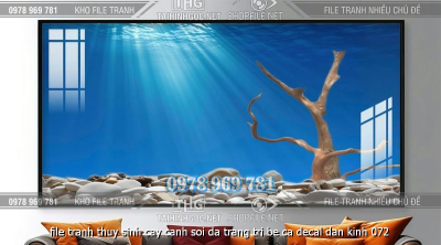 file tranh thuy sinh cay canh soi da trang tri be ca decal dan kinh 072