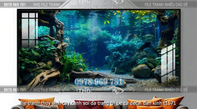 file tranh thuy sinh cay canh soi da trang tri be ca decal dan kinh t1571