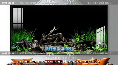 file tranh thuy sinh cay canh trang tri be ca decal dan kinh 116