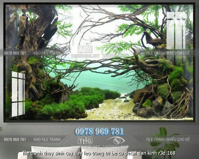 file tranh thuy sinh cay day leo trang tri be ca decal dan kinh r3d 168