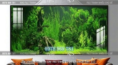 file tranh thuy sinh cay reu trang tri be ca decal dan 112