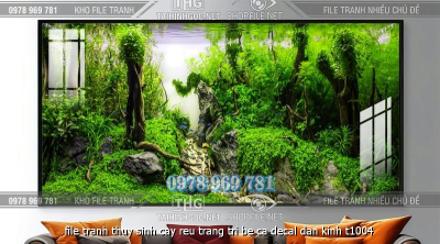 file tranh thuy sinh cay reu trang tri be ca decal dan kinh t1004