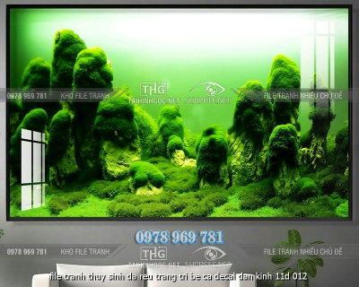 file tranh thuy sinh da reu trang tri be ca decal dan kinh 11d 012