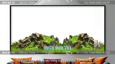 file tranh thuy sinh da reu trang tri be ca decal dan kinh 6d 109