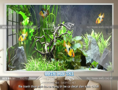file tranh thuy sinh ho ca trang tri be ca decal dan kinh t3358