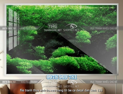file tranh thuy sinh ho reu trang tri be ca decal dan kinh 133