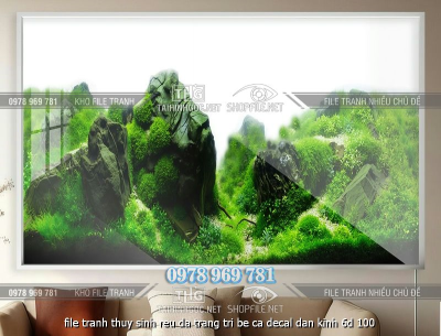 file tranh thuy sinh reu da trang tri be ca decal dan kinh 6d 100
