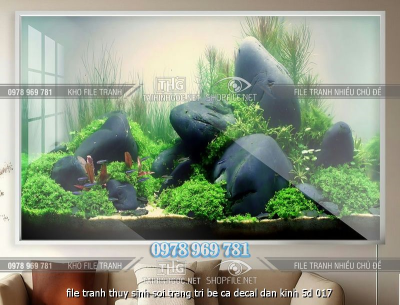 file tranh thuy sinh soi trang tri be ca decal dan kinh 5d 017