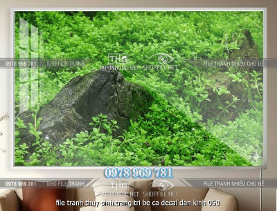file tranh thuy sinh trang tri be ca decal dan kinh 050