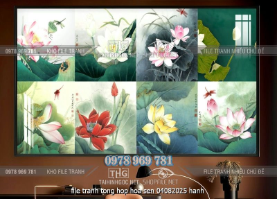 file tranh tong hop hoa sen 04082025 hanh