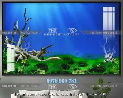 file tranh trang tri decor be ca bai co xanh thuy sinh duoi bien rd 088