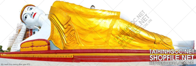 file tranh treo tuong phat giao 031