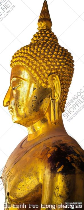 file tranh treo tuong phat giao 066