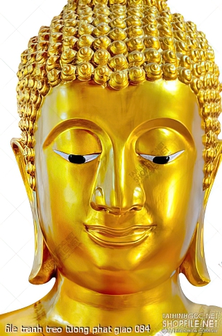 file tranh treo tuong phat giao 084