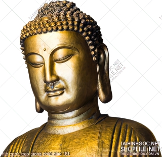 file tranh treo tuong phat giao 181