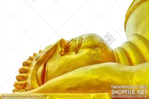 file tranh treo tuong phat giao 191