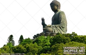 file tranh treo tuong phat giao 192