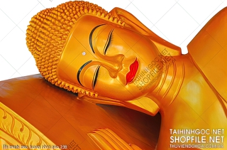 file tranh treo tuong phat giao 238