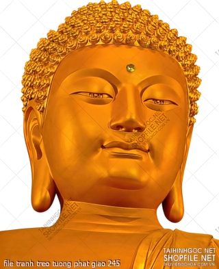 file tranh treo tuong phat giao 245