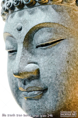 file tranh treo tuong phat giao 246