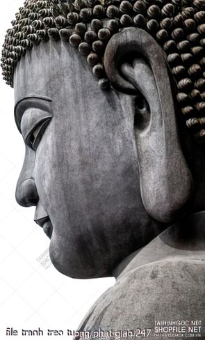 file tranh treo tuong phat giao 247